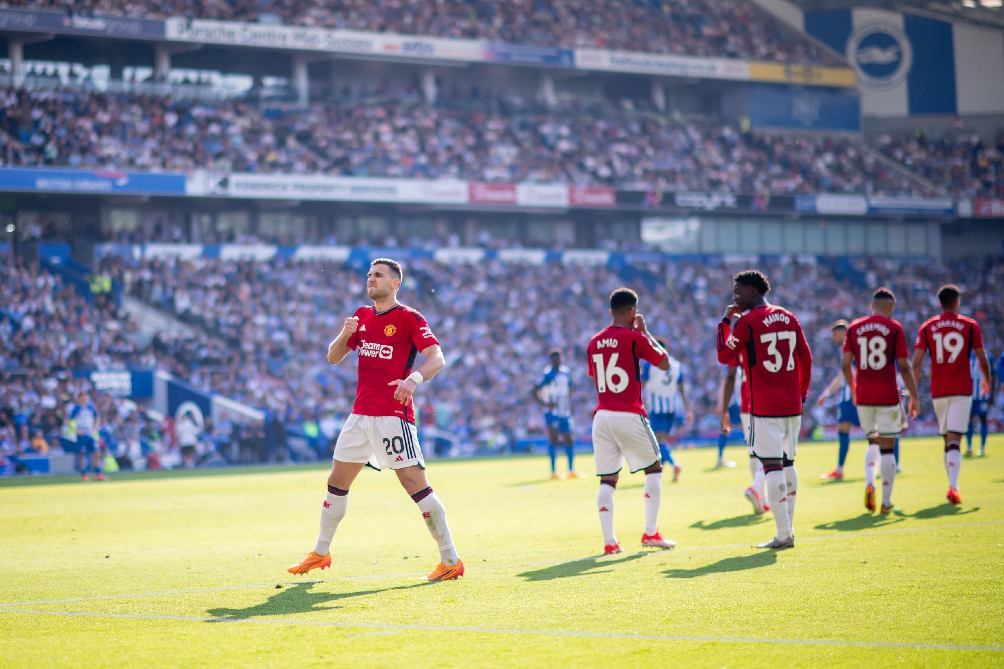 一个宝贵的 一个宝贵的